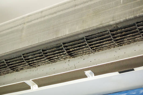 Best Best Air Duct Cleaning Company  in Florissant, MO