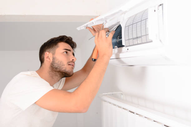 Best Air Duct Mold Removal  in Florissant, MO
